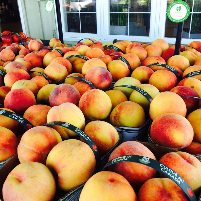 Peaches