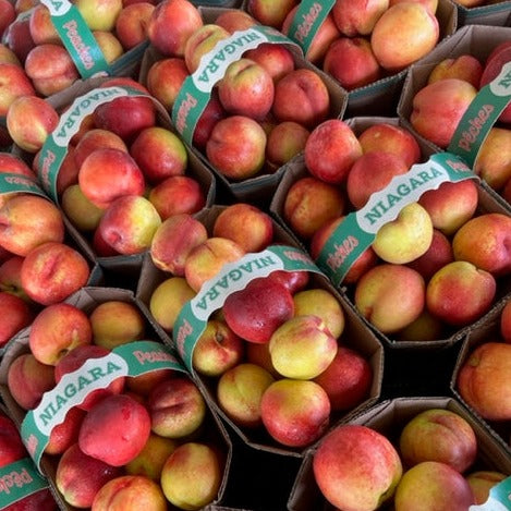Nectarines