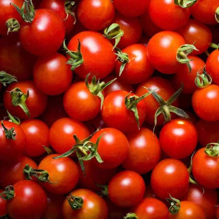 Sweet Million Tomato Plant