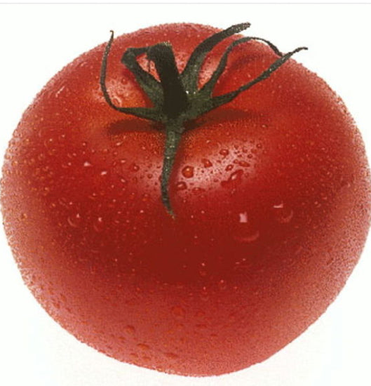 Tomato Glamour